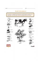 English worksheet: farm animals