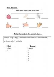 English worksheet: health