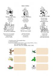 English Worksheet: insects