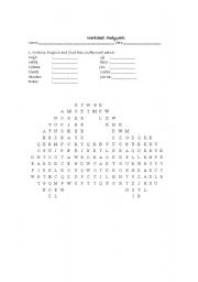 English worksheet: Body: word search and anagram 