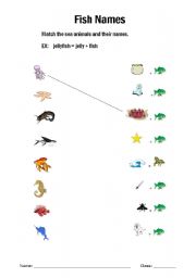 English worksheet: funny fish names 