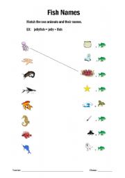 English Worksheet: funny fish names 