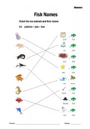 English worksheet: funny fish names - answers