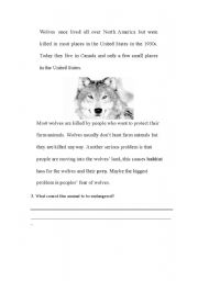 English Worksheet: Wolves 2 - Endangered Species