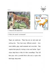 English Worksheet: Tigers - Endangered 1