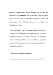 English Worksheet: Tigers - Endangered 2