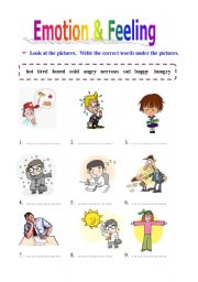 English Worksheet: Emotion&Feeling