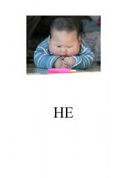 English worksheet: he