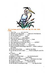 English Worksheet: USEFUL  7 PAGES DOCUMENT FOR TEACHING PRONOUNS