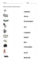 English Worksheet: Bugs