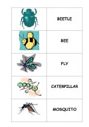 English Worksheet: bugs memory