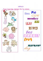 English Worksheet: Animals