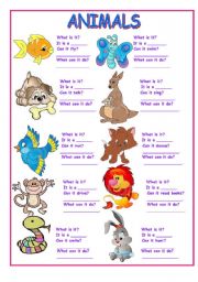 English Worksheet: ANIMALS