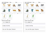 English worksheet: About animal