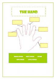 The hand