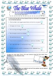 English Worksheet: The Blue Whale (task for short video)