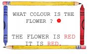 English worksheet: WHAT COLOUR IS THE FLOWER? SIGN 