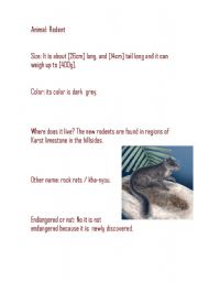 English worksheet: The rodent ( information Report)