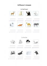 English worksheet: Different animals