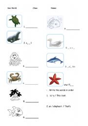 English Worksheet: Sea animals