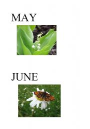 English worksheet: Months of the year - May, June
