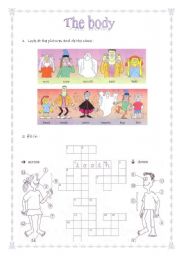 English Worksheet: The body