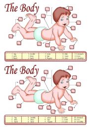 The body