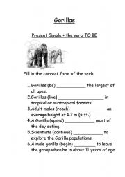 English Worksheet: Gorillas - Present Simple + the verb To Be 
