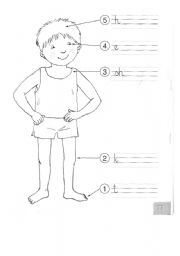 English Worksheet: Parts of the body