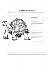 English Worksheet: Animal worksheets : Simple Present and description