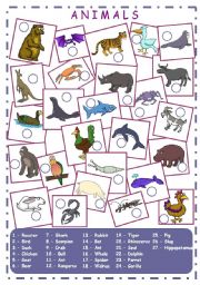 English Worksheet: Animals (1/2)