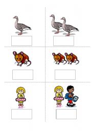 English Worksheet: Irregular Plural Nouns