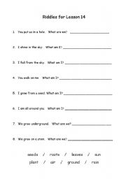 English Worksheet: Plants