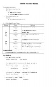 English Worksheet: Simple Present Tense