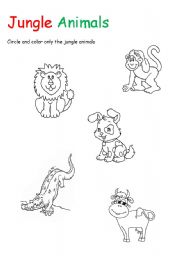 jungle animals