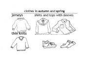 English worksheet: Clothes all year long