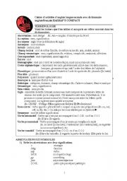 English Worksheet: Activities with English-French Harraps dictionary