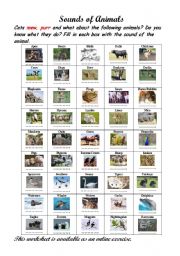 English Worksheet: Sounds of Animals.