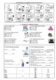 English Worksheet: EXPRESSING POSSESSION