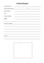 English Worksheet: Product Report