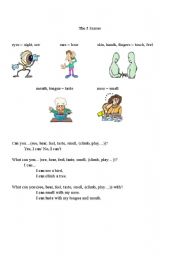 English Worksheet: The 5 Senses-A beginning conversation starter