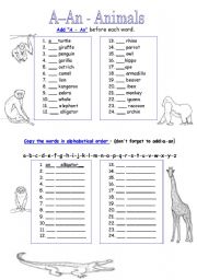 English Worksheet: A - An Animals