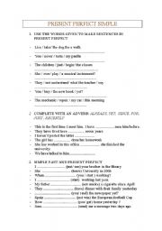 English Worksheet: present perfect tense form