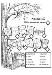 English Worksheet: Autumn vocabulary