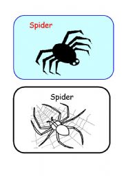 English worksheet: Spider  Color and B&W