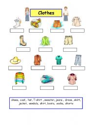 English Worksheet: Clothes