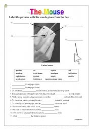 English Worksheet: Computer The Mouse