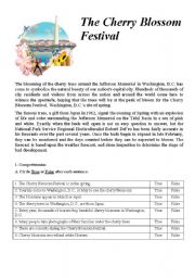 English Worksheet: The Cherry Blossom Festival