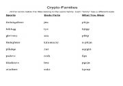 English worksheet: Crypto-Families: Find words in each Family Group