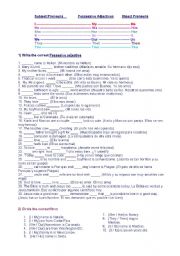 English Worksheet: Possessive Adjectives and Object Pronouns